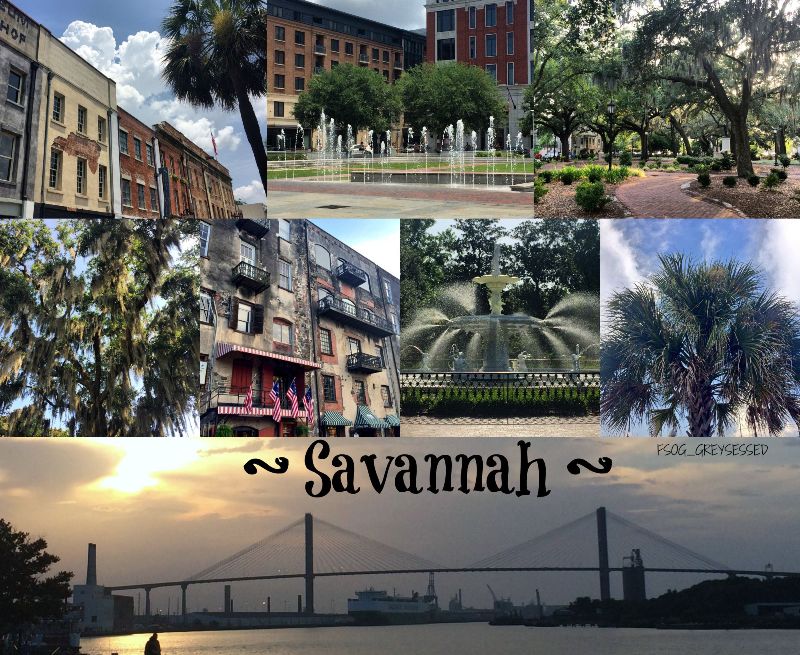 Savannah_CollageTag